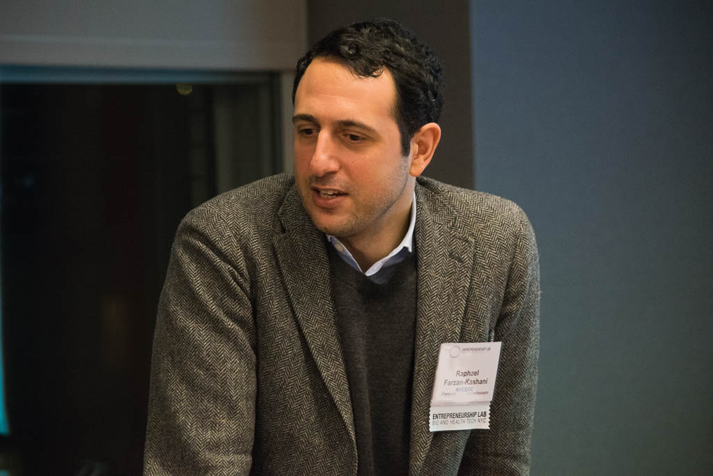 Raphael Farzan-Kashani, NYCEDC